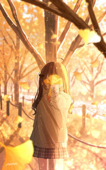 1girl absurdres ahoge amenomori_howa autumn_leaves black_bow black_skirt blurry blurry_background blurry_foreground bow bowtie brown_hair commentary_request covering_face cowboy_shot depth_of_field facing_viewer falling_leaves film_grain grey_sweater hair_bow hand_up highres holding holding_leaf leaf light_particles long_hair original park plaid_clothes plaid_skirt red_bow red_bowtie shirt sidelighting signature skirt solo standing sweater tree white_shirt