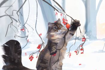 animal animal_focus bird branch bwspace69 cat commentary day english_commentary grey_cat highres no_humans original outdoors snow winter