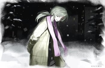 Rule 34 | 1girl, arms behind back, chuanzhoujikou, from side, green hair, green jacket, grin, highres, jacket, leaning forward, looking at viewer, low ponytail, marina kaplan, medium hair, night, outdoors, ponytail, purple scarf, scarf, smile, snow, solo, upper body, winter, z.a.t.o. // i love the world and everything in it