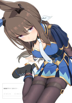 1girl absurdres admire_vega_(starry_nocturne)_(umamusume) admire_vega_(umamusume) animal_ears black_boots black_pantyhose blue_capelet blue_dress blush boots breasts brown_hair capelet closed_mouth dress ear_covers ear_ornament hair_between_eyes highres horse_ears horse_girl horse_tail kazoku_chicken long_hair long_sleeves looking_at_viewer low_ponytail necktie pantyhose ponytail purple_eyes simple_background single_ear_cover sitting solo tail thigh_strap umamusume white_background white_necktie yokozuwari