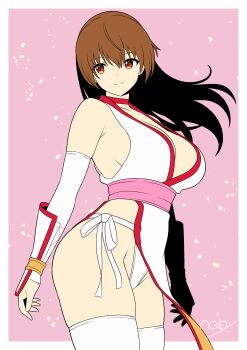 1girl absurdres breasts dead_or_alive highres kasumi_(doa) large_breasts long_hair tagme