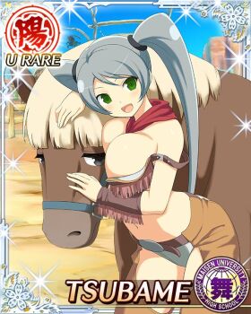 Rule 34 | 1girl, :d, animal, animal hug, bikini, border, breasts, brown chaps, brown horse, card (medium), character name, cleavage, game cg, green eyes, grey bikini, grey hair, large breasts, leaning forward, long hair, looking at viewer, navel, neckerchief, official art, open mouth, outdoors, red neckerchief, senran kagura, senran kagura new wave, smile, solo, swept bangs, swimsuit, third-party source, tsubame (senran kagura), twintails, very long hair