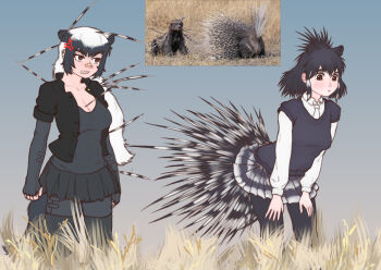 Rule 34 | 10tile, absurdres, anger vein, animal ears, badger ears, badger girl, badger tail, bandaid, bandaid on face, bandaid on nose, black hair, breasts, brown eyes, cleavage, crested porcupine (kemono friends), elbow gloves, fingerless gloves, gloves, grey hair, highres, horns, jacket, kemono friends, large breasts, long hair, long sleeves, major injury underreaction, multicolored hair, multiple girls, necktie, open clothes, open mouth, pantyhose, photo-referenced, porcupine ears, ratel (kemono friends), reference inset, savannah, shirt, short hair, skirt, spikes, tail, two-tone hair, white hair