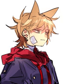 Rule 34 | 1boy, animification, bad id, bad twitter id, bandage on face, bandaged neck, bandages, blue coat, brown hair, buttons, coat, eddsworld, from side, future tord (eddsworld), hair ears, hood, hood down, hoodie, inactive account, jitome, male focus, nana (ebitokanimiso), painttool sai (medium), profile, short hair, simple background, sketch, solo, tord (eddsworld), upper body, white background