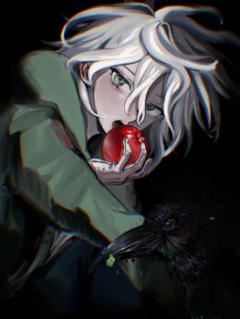 1boy apple bird clover commentary_request crow danganronpa_(series) danganronpa_2:_goodbye_despair dark_background food four-leaf_clover fruit gloves green_eyes green_jacket grey_hair hair_between_eyes highres holding holding_food holding_fruit hood hood_down hooded_jacket imminent_bite jacket komaeda_nagito long_sleeves looking_at_viewer male_focus medium_hair messy_hair open_mouth pants redramcvcvcv white_gloves
