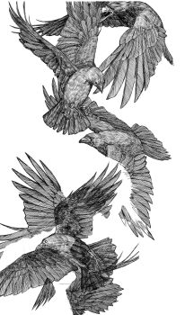 animal animal_focus attack bird closed_mouth commentary_request feathers flying greyscale hatching_(texture) highres linear_hatching monochrome no_humans open_mouth original simple_background teeniika white_background