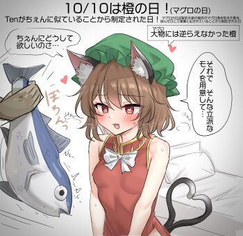 1boy 1girl absurdres animal animal_ears breasts brown_hair cat_ears cat_girl cat_tail chen commentary_request fish green_hat hat heart heart-shaped_pupils highres holding holding_animal holding_fish maguro_(drama) multiple_tails red_eyes short_hair small_breasts solo_focus speech_bubble symbol-shaped_pupils tail touhou translation_request youyume-kun