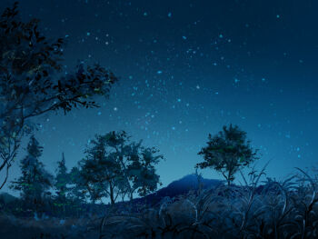 commentary_request cool_colored grass highres meadow n_(nnn2927) nature night no_humans original outdoors scenery sky sky_focus star_(sky) tree