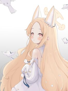 1girl absurdres animal_ear_fluff animal_ears backless_dress backless_outfit bird blonde_hair blue_archive commentary_request detached_sleeves dress forehead fox_ears fox_girl gold_trim grey_background halo highres long_hair looking_at_viewer looking_back pink_eyes seia_(blue_archive) shirayui_(shirakawaui) simple_background sleeves_past_fingers sleeves_past_wrists very_long_hair white_dress white_sleeves yellow_halo