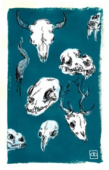 animal animal_skeleton animal_skull artist_logo bird_skull blue_background blue_theme bone border choo commentary cow_skull deer_skull dripping english_commentary fangs horns logo monochrome no_humans object_focus original sharp_teeth simple_background skeleton sketch skull teeth white_border