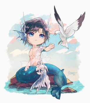 1boy abs absurdres bird black_hair blue_eyes blue_eyeshadow blue_scales border capelet chinese_commentary clarence_clayden clarence_clayden_(book_of_tales) cloud curtained_hair day deformed eyeshadow fins full_body hair_ornament head_fins highres irregular_border looking_at_animal lovebrush_chronicles makeup male_focus merman mole mole_under_eye monster_boy no_nipples ocean outstretched_arm parted_lips pectorals reaching rock seagull seashell see-through_capelet see-through_clothes shell shell_hair_ornament short_hair sitting solo swept_bangs toned toned_male topless_male white_border white_capelet xue_ezi
