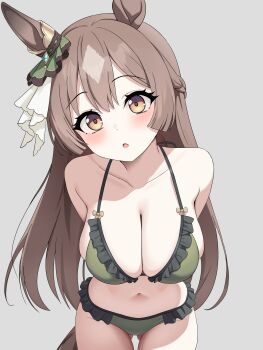 1girl absurdres animal_ears arms_behind_back bare_shoulders bikini blush braid breasts brown_eyes brown_hair collarbone double-parted_bangs ear_ornament gluteal_fold green_bikini grey_background hair_between_eyes half_up_braid half_updo highres horse_ears horse_girl horse_tail large_breasts long_hair looking_at_viewer multicolored_hair open_mouth parted_lips satono_diamond_(umamusume) simple_background solo streaked_hair swimsuit tail umamusume very_long_hair zhanderlul