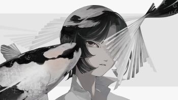 1boy androgynous black_hair carp collared_shirt fins fish highres koi letterboxed one_eye_covered original revision scales shimizu_en_(shimizuen3310) shirt short_hair signature two-tone_scales white_shirt