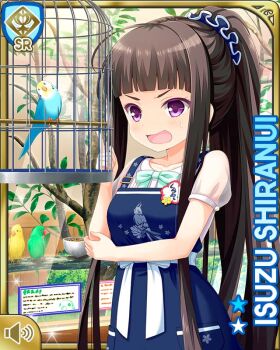 1girl alternate_hairstyle angry bird birdcage black_hair blue_dress cage card_(medium) character_name day dress girlfriend_(kari) hair_ornament indoors blue_bow official_art open_mouth ponyail purple_eyes qp:flapper shiranui_isuzu standing store tagme