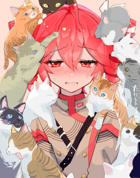 Rule 34 | 1girl, ahoge, animal, animal on head, animal on shoulder, black cat, blush, brown background, buttons, cat, cat on head, cat on shoulder, commentary request, drill hair, grey cat, grey jacket, highres, jacket, kasane teto, kasane teto (sv), long sleeves, multicolored cat, multiple cats, on head, open mouth, red eyes, red hair, simple background, solo, straight-on, sweatdrop, synthesizer v, torino sasami, twin drills, upper body, utau, v arms, white cat