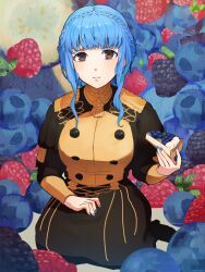 Rule 34 | 1girl, aoisu ao, bags under eyes, blackberry (fruit), blue hair, blue nails, blueberry, braid, brown eyes, buttons, cake, cake slice, closed mouth, commentary, crown braid, fire emblem, fire emblem: three houses, food, fruit, garreg mach monastery uniform, highres, holding, holding food, long hair, looking at viewer, marianne von edmund, nail polish, nintendo, raspberry, sitting, solo
