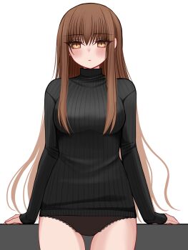 Rule 34 | 1girl, absurdres, black panties, black sweater, blush, breasts, brown eyes, brown hair, commentary request, fate/extra, fate (series), highres, kishinami hakuno (female), long hair, long sleeves, looking at viewer, mcpc zamurai, panties, ribbed sweater, sidelocks, small breasts, solo, sweater, thighs, turtleneck, turtleneck sweater, underwear