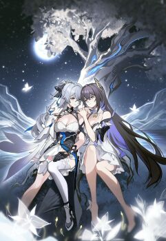 Rule 34 | 2girls, alternate hair length, alternate hairstyle, black hair, breasts, bronya zaychik, bronya zaychik (silverwing: n-ex), bug, butterfly, cleavage, cross, cross earrings, crossed bangs, dress, drill hair, earrings, grey eyes, grey hair, hair between eyes, high heels, highres, honkai (series), honkai impact 3rd, insect, jewelry, long hair, looking at another, medium breasts, mie xing, multicolored hair, multiple girls, purple hair, seele vollerei, seele vollerei (apho), single thighhigh, thighhighs, tree, twin drills, very long hair, white dress, yuri