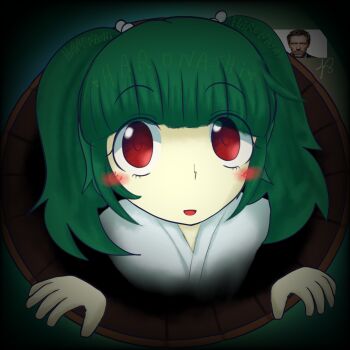 1girl bathrobe blunt_bangs blush bucket green_background green_hair gregory_house hair_tie haronashi highres horror_(theme) house_m.d. hugh_laurie japanese_clothes kimono kisume kisume_(bath_bucket) red_eyes short_twintails solo subterranean_animism touhou twintails