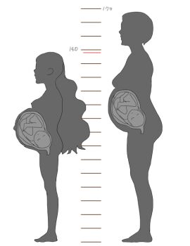 2girls age_difference baby breasts comparison fetus graph height height_comparison height_difference height_mark loli long_hair mature_female multiple_girls nude original pregnant pregnant_loli profile short_hair simple_background sketch small_breasts spot_color standing tagme takatou_sora uterus white_background x-ray