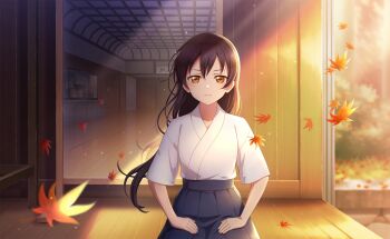 1girl autumn_leaves black_hair black_hakama closed_mouth day falling_leaves floating_hair game_cg hakama hakama_skirt highres indoors japanese_clothes kimono leaf long_hair looking_at_viewer love_live! love_live!_school_idol_festival_2 love_live!_school_idol_project official_art orange_eyes sitting skirt solo sonoda_umi straight-on third-party_source white_kimono
