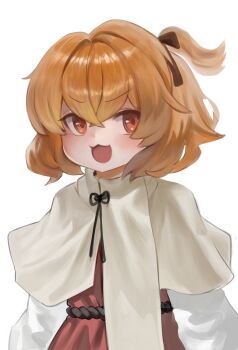 Rule 34 | 1girl, absurdres, brown hair, capelet, commentary, dokomon, dress, highres, korean commentary, long sleeves, looking at viewer, medium hair, one side up, open mouth, original, red dress, red eyes, simple background, solo, white background, white capelet