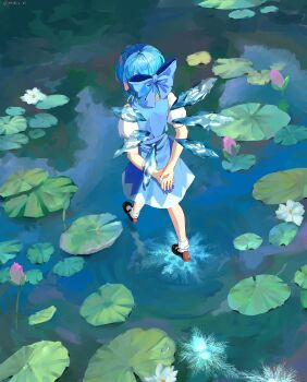Rule 34 | 1girl, arms behind back, blue bow, blue dress, blue hair, bow, brown shoes, cirno, commentary, day, dress, facing away, floating, from behind, hair bow, highres, ice, ice wings, lily pad, outdoors, pechika 01, reflection, reflective liquid, shoes, short sleeves, socks, solo, touhou, walking, walking on liquid, white socks, wings