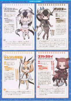 4girls black_wildebeest_(kemono_friends) blue_wildebeest_(kemono_friends) full_body kemono_friends kemono_friends_2 looking_at_viewer multiple_girls official_art simple_background sumatran_rhinoceros_(kemono_friends) thomson&#039;s_gazelle_(kemono_friends) yoshizaki_mine