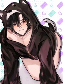Rule 34 | 1boy, all fours, animal collar, animal costume, animal ears, animal hood, black collar, black eyes, black hair, blush, cheng xiaoshi, closed mouth, collar, collarbone, dog costume, dog ears, dog hood, dog tail, fake animal ears, fake tail, hair between eyes, heart, highres, hood, hood up, hoodie, long sleeves, looking at viewer, male focus, naked hoodie, no pants, pectorals, savbangpogojig, shiguang dailiren, short hair, smile, solo, tail