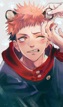 Rule 34 | 1boy, 1other, animal ears, black hair, black jacket, commentary request, fang, hand on another's ear, highres, hood, hooded jacket, itadori yuuji, jacket, jujutsu kaisen, light blush, male focus, multicolored hair, one eye closed, pink hair, red hood, shy, solo focus, teeth, tiger boy, tiger ears, two-tone hair, undercut, whitetown, yellow eyes