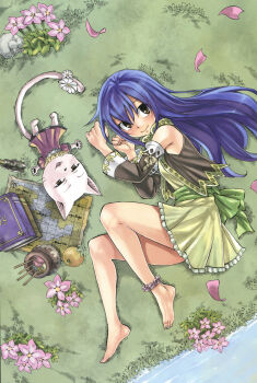1girl absurdres animal blue_hair book brown_eyes cat charle_(fairy_tail) dress fairy_tail falling_petals feet flower food fruit grass highres long_hair looking_at_viewer lying map mashima_hiro official_art on_grass petals pink_flower water wendy_marvell