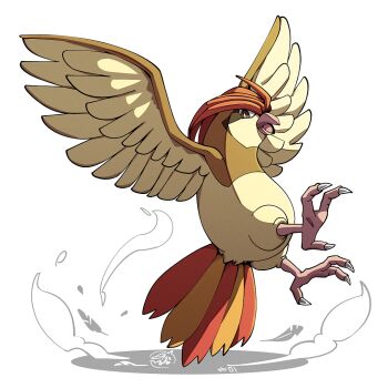 beak bird clip_studio_paint_(medium) falling_petals gen_1_pokemon looking_at_viewer mistray-art nintendo no_humans open_mouth petals pidgeotto pokemon pokemon_(creature) simple_background solo white_background