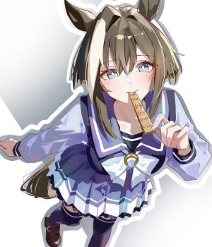 1girl absurdres animal_ears blush bow bowtie brown_hair cheval_grand_(umamusume) closed_mouth commentary_request foreshortening hair_intakes highres horse_ears horse_girl horse_tail horseshoe_ornament long_sleeves looking_at_viewer multicolored_hair outline pleated_skirt purple_sailor_collar purple_shirt purple_skirt purple_thighhighs sailor_collar sailor_shirt school_uniform shirt short_hair short_hair_with_long_locks simple_background skirt solo standing streaked_hair tail thighhighs tracen_school_uniform umamusume white_background white_bow white_bowtie white_hair white_outline white_streaks yoojp