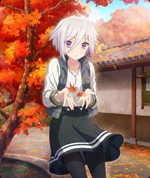 Rule 34 | 1girl, ahoge, architecture, autumn, autumn leaves, black leggings, black skirt, blue sky, building, day, dot nose, east asian architecture, falling leaves, game cg, grey jacket, hair between eyes, itomi sayaka, jacket, jewelry, leaf, leggings, long sleeves, looking at viewer, necklace, official art, open clothes, open jacket, outdoors, outstretched hand, parted lips, purple eyes, purple hair, ribbed sleeves, shirt, short hair, skirt, sky, solo, sparkle, stone walkway, third-party source, toji no miko, toji no miko: kizamishi issen no tomoshibi, tree, white shirt, white sleeves