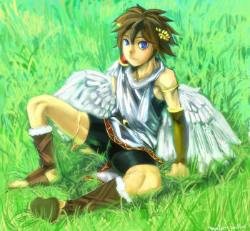 1boy angel bike_shorts blue_eyes brown_hair grass head_wreath kid_icarus laurel_wreath male_focus nintendo pit_(kid_icarus) short_hair sitting solo spiked_hair thigh_strap wings