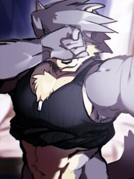 1boshi 1boy abs animal_ears armpit_hair armpits bara biceps black_tank_top commentary_request covering_face dog_boy dog_ears dog_tags dog_tail furry furry_male grey_fur grey_hair jewelry kouya_aotsuki looking_at_viewer male_focus morenatsu muscular muscular_male navel necklace no_pants pectoral_cleavage pectorals smile tail tank_top upper_body