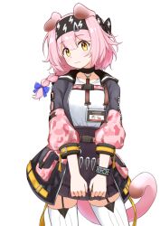 Rule 34 | 1girl, animal ears, arknights, black bow, black collar, black hairband, black skirt, blue bow, bow, bracelet, braid, breasts, cat ears, cat girl, cat tail, collar, commentary request, contrapposto, garter straps, goldenglow (arknights), grey jacket, hair between eyes, hair bow, hair ornament, hairband, hairclip, head tilt, high-waist skirt, id card, jacket, jewelry, lightning bolt print, long hair, looking at viewer, miniskirt, multicolored clothes, multicolored jacket, open clothes, open jacket, pink hair, pink jacket, pleated skirt, pocket, print bow, print hairband, puffy sleeves, shirt, side braid, simple background, single braid, skirt, sleeves past elbows, solo, tail, thighhighs, twitter username, wavy mouth, white background, white shirt, white thighhighs, yellow eyes, youdie