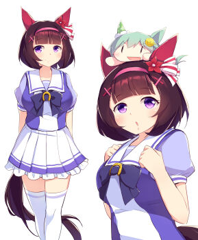 Rule 34 | 2girls, absurdres, animal ears, blunt bangs, blush, bow, bowtie, breasts, brown hair, closed mouth, commentary request, ear covers, flower, grey hair, hair between eyes, hair flower, hair ornament, hairband, hairclip, highres, horse ears, horse girl, horse tail, kanzakietc, large breasts, looking at viewer, multiple girls, nishino flower (umamusume), on head, open mouth, parted lips, pink hairband, pleated skirt, puffy short sleeves, puffy sleeves, purple bow, purple bowtie, purple eyes, purple shirt, sailor collar, sailor shirt, school uniform, seiun sky (umamusume), shirt, short hair, short sleeves, simple background, single ear cover, skirt, smile, sunflower, sunflower hair ornament, tail, thighhighs, tracen school uniform, umamusume, white background, white sailor collar, white skirt, white thighhighs, x hair ornament