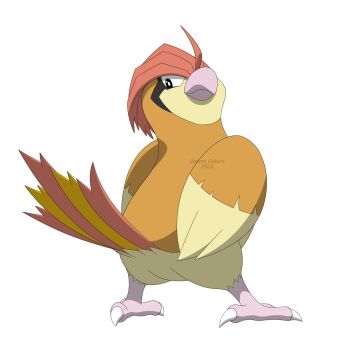 beak bird gen_1_pokemon highres looking_at_viewer looking_back nintendo no_humans pidgeotto pokemon pokemon_(creature) simple_background solo white_background zecret_colors