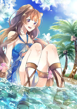 Rule 34 | 1girl, :d, absurdres, animal ear fluff, animal ears, aqua bikini, arm support, bare arms, bikini, blue bikini, blue sky, blunt bangs, breasts, brown hair, brown sandals, cleavage, cloud, cloudy sky, coconut tree, collarbone, commentary request, day, flower, gladiator sandals, hair flower, hair ornament, high ponytail, highres, kanzaki shiori (shioshio hato), knees up, leather thigh strap, long hair, medium breasts, multicolored bikini, ocean, official alternate costume, official alternate hairstyle, open mouth, outdoors, palm tree, pink flower, ponytail, purple eyes, raccoon ears, raccoon girl, raphtalia, sandals, sitting, sky, smile, solo, swimsuit, tate no yuusha no nariagari, teeth, thigh strap, tongue, tree, two-tone bikini, upper teeth only, wading, water, wavy hair