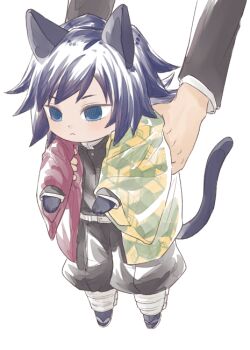 Rule 34 | 1boy, animal ears, belt, black hair, black jacket, black pants, black socks, blue eyes, buttons, cat boy, cat ears, cat tail, chibi, closed mouth, demon slayer uniform, empty eyes, gold buttons, haori, high collar, jacket, japanese clothes, kikkoumon, kimetsu no yaiba, long hair, low ponytail, male focus, nem yamm, pants, ponytail, print haori, red haori, sandals, socks, solo focus, spiked hair, tail, tomioka giyuu, white belt