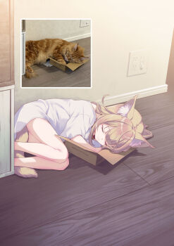 1girl 40hara animal_ear_fluff animal_ears box brown_hair cardboard_box cat_ears cat_tail closed_eyes closed_mouth commentary_request cropped_legs fetal_position highres kinako_(40hara) long_hair long_shirt lying no_pants on_floor on_side original photo-referenced photo_inset shirt short_sleeves sleeping solo tail white_shirt wooden_floor