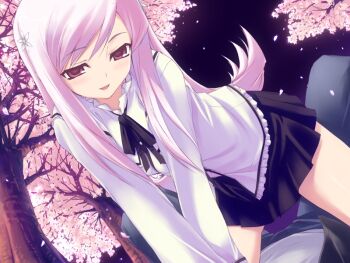 00s 1girl blush cherry_blossoms female_focus game_cg girl_on_top hair_ornament hairpin kawata_hisashi lucy_maria_misora pink_hair reference_work skirt solo straddling to_heart_(series) to_heart_2 tree