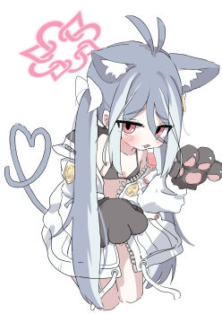 Rule 34 | 1girl, absurdres, animal ear fluff, animal ears, animal hands, antenna hair, bikini, black bikini, blue archive, blue hair, blush, bow, cat ears, cat girl, cat paws, cat tail, chestnut mouth, claw pose, commentary request, fubuki (blue archive), furrowed brow, hair bow, halo, heart, highres, jacket, looking at viewer, looking to the side, multiple hair bows, natsukari na, pink eyes, pink halo, swimsuit, tail, white background, white bow, white jacket