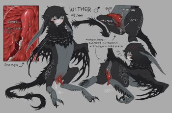 anger_vein anus arthropod_limbs black_feathers black_hair black_tail character_name cum feathers grey_background grey_feathers harpy highres jejejunum mane monster monster_girl multicolored_feathers nervous_sweating nethermare original penis pussy_juice red_penis reference_sheet sitting solo sweat wither_(jejejunum)