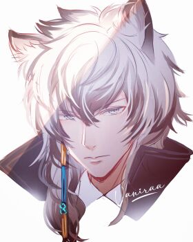 Rule 34 | 1boy, arknights, artist name, black streaks, closed mouth, commentary, cropped head, grey eyes, grey hair, hair between eyes, high collar, highres, looking at viewer, male focus, multicolored hair, short hair, silverash (arknights), simple background, snow leopard boy, snow leopard ears, solo, streaked hair, vaniraaa, white background