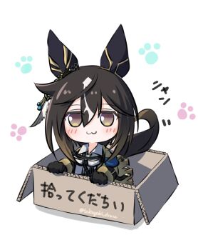 1girl :3 animal_ears black_gloves black_hair blush box brown_eyes brown_hair cardboard cardboard_box closed_mouth coat commentary ear_covers english_commentary for_adoption gloves goggles goggles_around_neck hair_between_eyes highres horse_ears horse_girl horse_tail in_box in_container long_hair looking_at_viewer multicolored_hair paw_print paw_print_background shirt smile solo stay_gold_(sunlit_outsider)_(umamusume) stay_gold_(umamusume) tail takoyaki_(takoyaki_draw) torn_clothes torn_coat umamusume white_hair white_shirt wrist_belt yellow_coat
