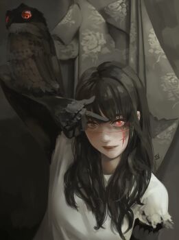 1girl absurdres animal_on_arm bird bird_on_arm black_hair brown_eyes brown_lips chainsaw_man commentary cross_scar dana_(ocana_dana) facial_scar heterochromia highres parted_lips pointing pointing_at_self red_eyes ringed_eyes scar scar_on_cheek scar_on_face scar_on_nose signature solo torn_clothes torn_sleeves upper_body war_devil_(chainsaw_man) yoru_(chainsaw_man)