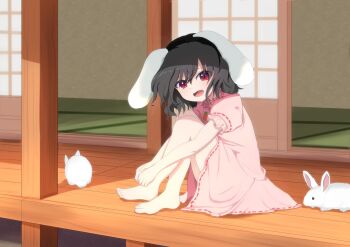 Rule 34 | 1girl, absurdres, animal ears, barefoot, black hair, carrot necklace, commentary, dress, floppy ears, guminemi, highres, inaba tewi, jewelry, looking at viewer, medium hair, necklace, open mouth, pendant, pink dress, puffy short sleeves, puffy sleeves, rabbit, rabbit ears, rabbit girl, red eyes, ribbon-trimmed dress, ribbon trim, short sleeves, shouji, sitting, sliding doors, smile, solo, tatami, toes, touhou