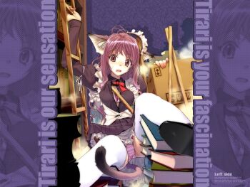 Rule 34 | 1girl, animal ears, apron, black dress, blush, book, bow, bra, cat ears, cat tail, clumsy, disheveled, dress, fallen down, fang, female focus, frilled thighhighs, frills, headdress, hidari (left side), lingerie, maid, maid apron, open clothes, open dress, open shirt, original, panties, pantyshot, petticoat, pink panties, purple eyes, purple hair, purple panties, shirt, sitting, solo, striped clothes, striped panties, sweatdrop, tail, thighhighs, underwear, upskirt, white thighhighs